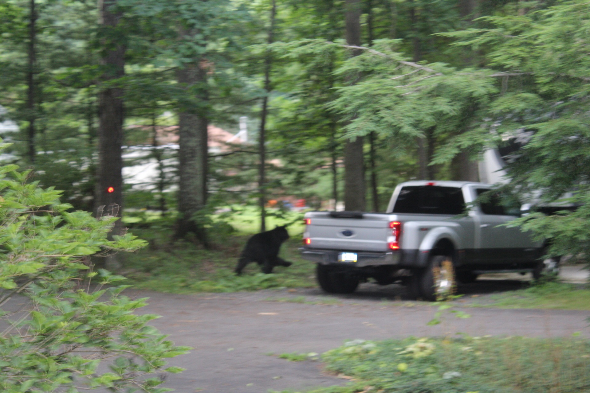 04A086E4-E555-4B7D-A785-692C777D5EA5