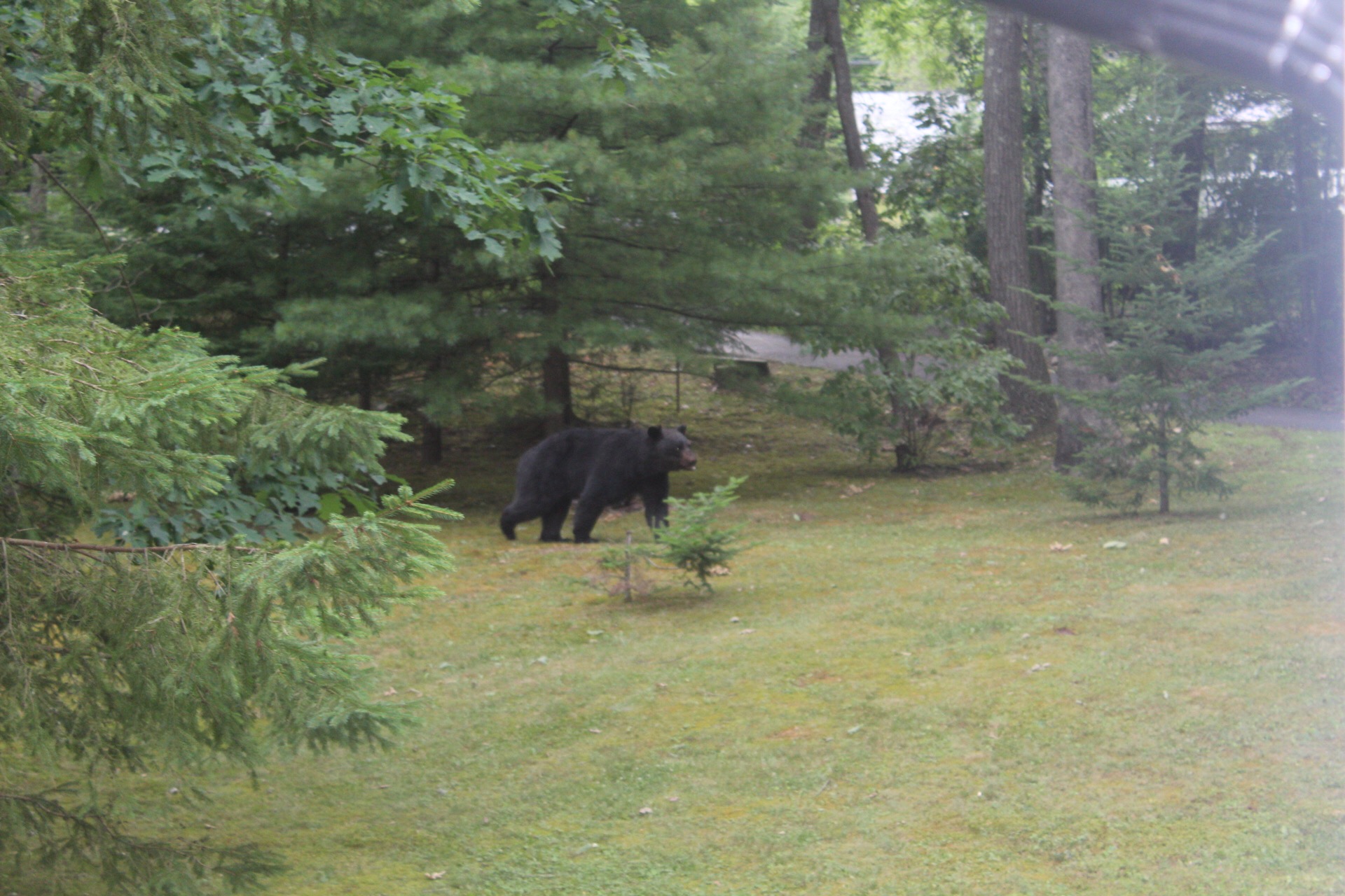 3D42FC64-C75B-4FA9-8BC8-F7A9E8EFD90C